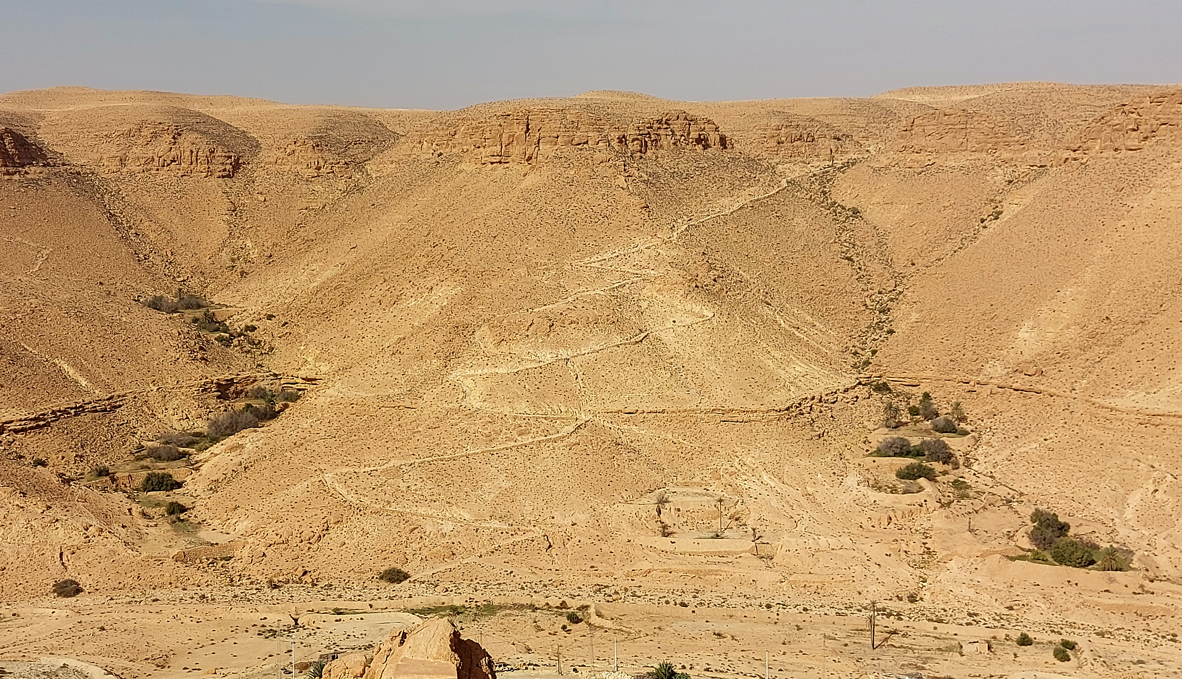 Landscape of the Jebel